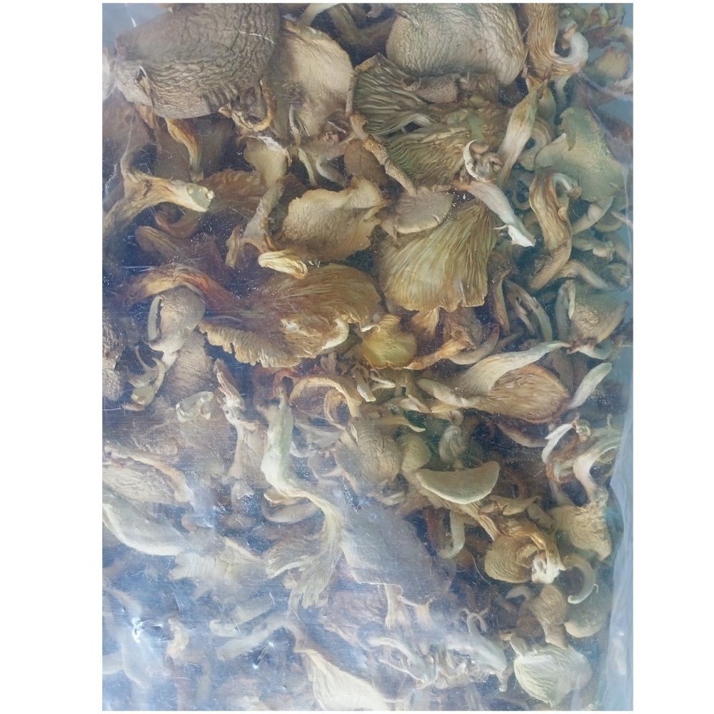 Dry Oyster Mushroom, Packaging Type: Loose