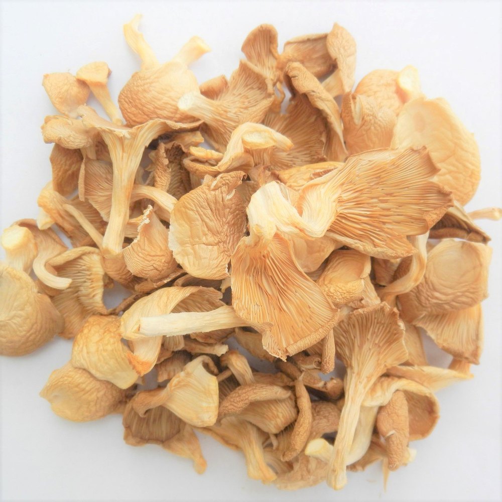 Dried Oyster Mushroom, 45%, Packaging Type: Loose