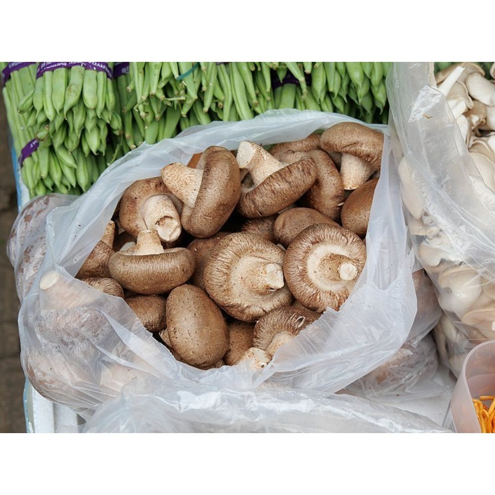 Maharashtra Brown Shitake Mushroom., 8gm, Packaging Type: Loose