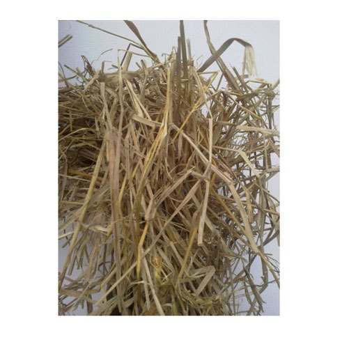 Mushroom Farming Straw, Pack Size: 50 to 100 kg