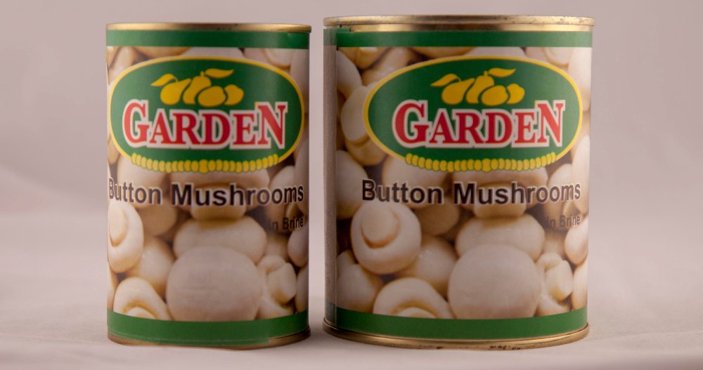 Mushroom Slice, Packaging Type: Cans