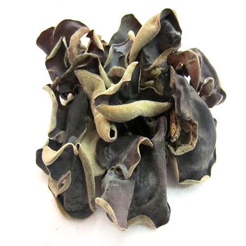 Black Mushroom