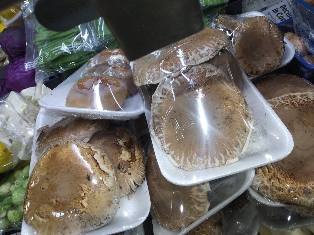 Portobello Mushroom
