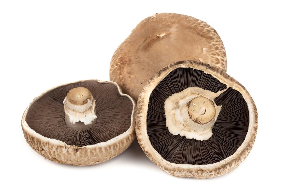 Maharashtra King portobello mushroom, Packaging Type: PP Bag, Packaging Size: 5 Kg