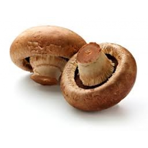Portobello Mushroom, Packaging: Plastic Bag or Polythene