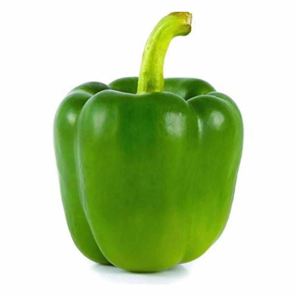 A Grade Green Capsicum Indus, For Food, Pan India