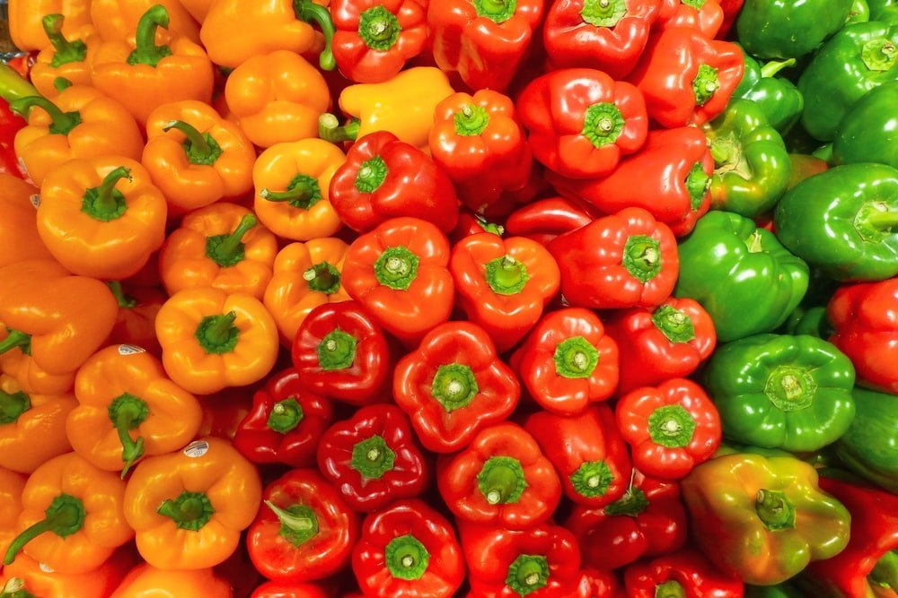 A Grade Organic Bell Pepper