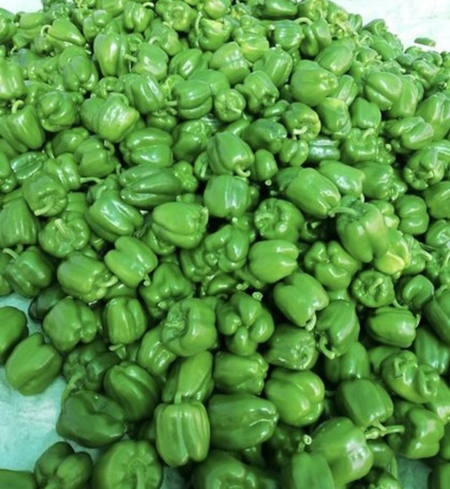 A Grade Organic Green Capsicum, For Cooking