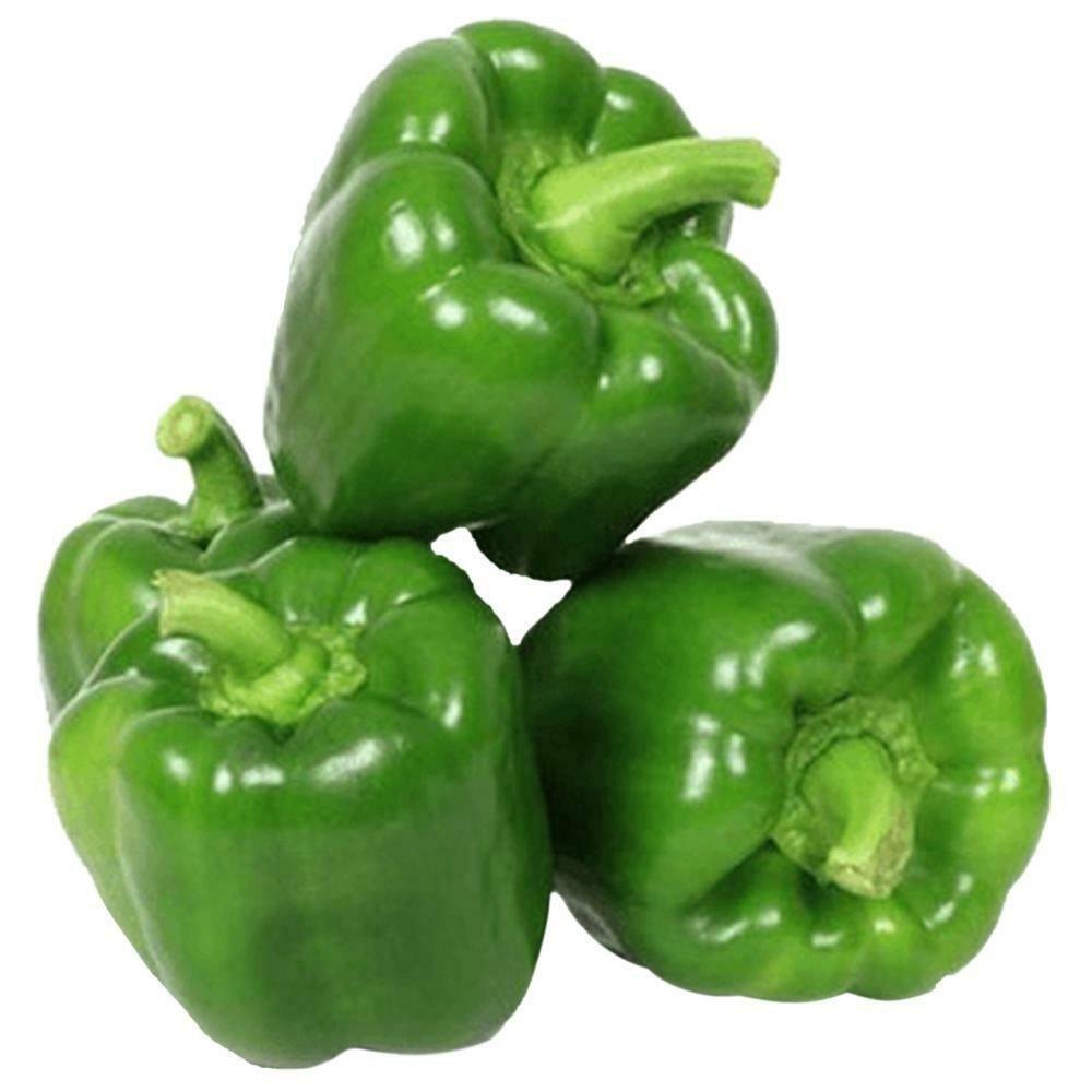 A Grade Green Capsicum, For Cooking, Andhra Pradesh