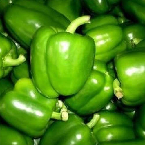A Grade Fresh Green Capsicum, Pan India, Pesticide Free (for Raw Products)