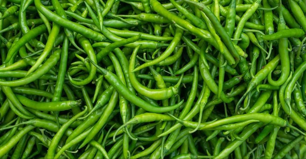 A Grade Fresh Green Chilli, tamilnadu, Packaging Size: 25 kg