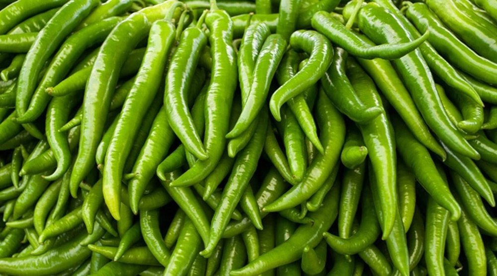 A Grade Hybrid Green Chilli, For Cooking, Packaging Size: 30 Kg