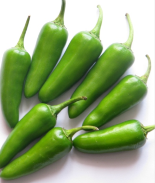 Rocket Chilli