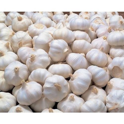 3-6 Months White Fresh Garlic, Packaging Size: 25 And 50 Kg, Packaging: Plastic Bag