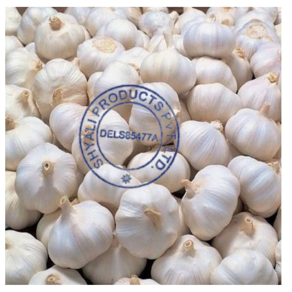 A Grade Fresh Garlic, Packaging Size: 20 Kgs, Garlic Size: 10-20mm
