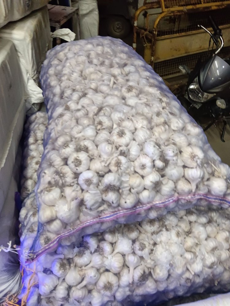 A Grade Pan India Super bomm fresh garlic, Packaging Type: Net Bag, Packaging Size: 50 Kg