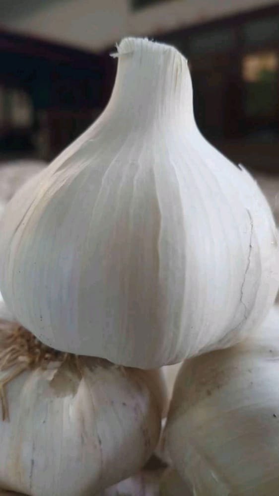 A Grade 40mm Fresh Garlic