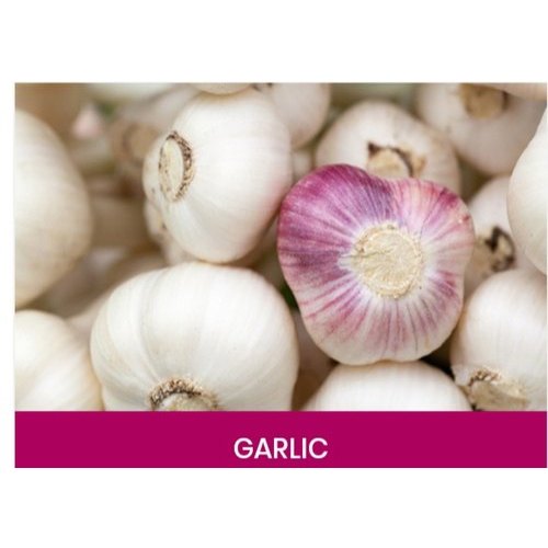 A Grade Fresh Garlic, Packaging Size: 1 Kg