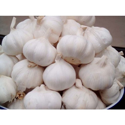 A Grade Fresh Garlic, Packaging Size: 30 Kg, Garlic Size: 25 mm