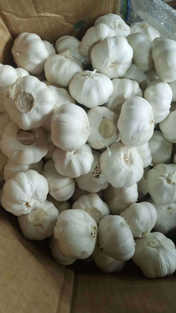 A Grade Fresh White Garlic for Export purpose, Packaging Size: 25 Kg
