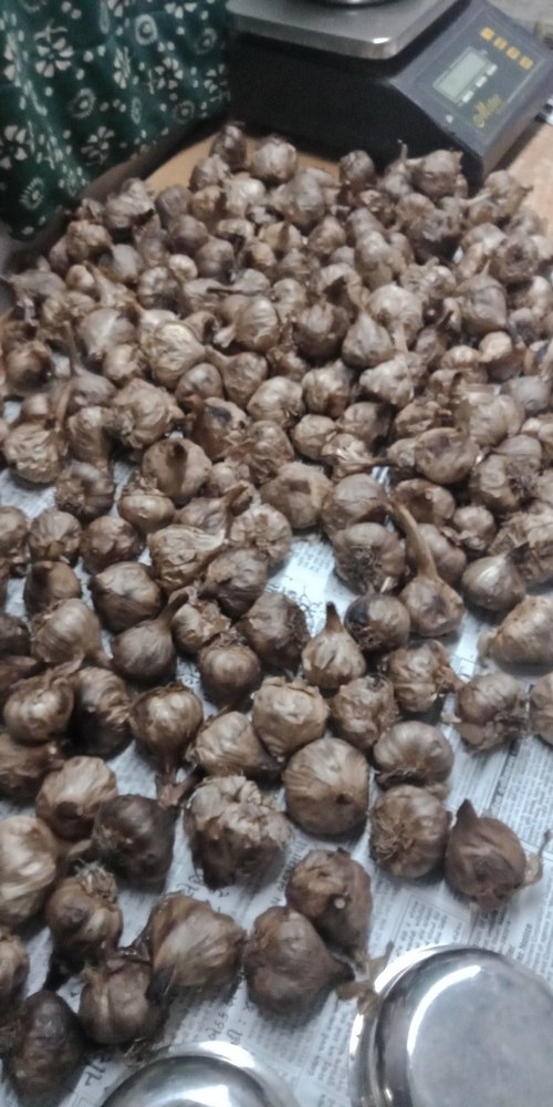 A Grade Pan India Black garlic, Gunny Bag, 20 Kg