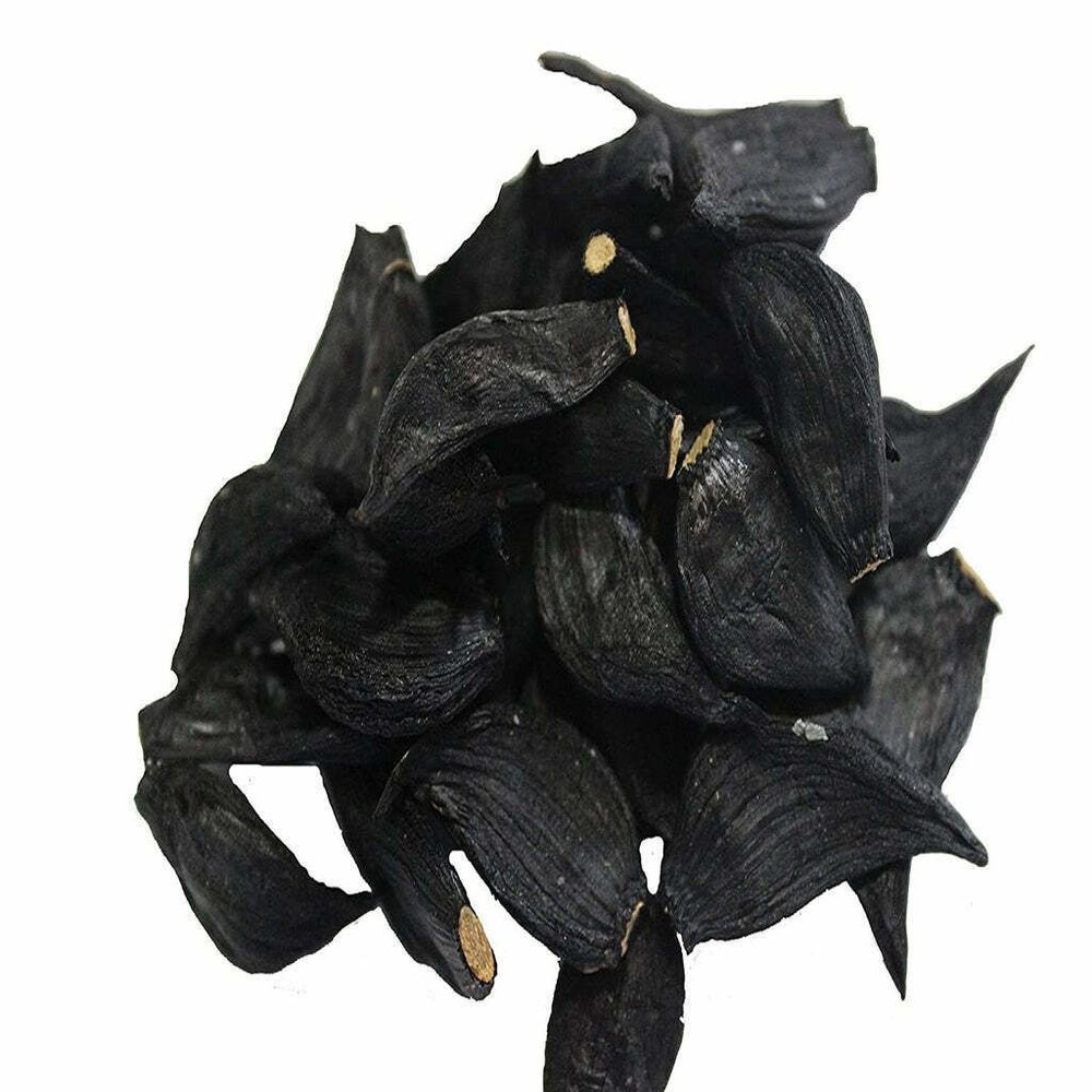 Pan India Black Garlic Fermenter, Packaging Size: 1kg