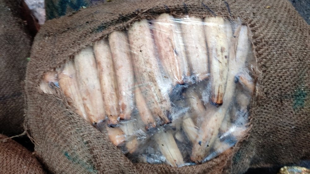 Kamal Kakdi( Lotus Roots)