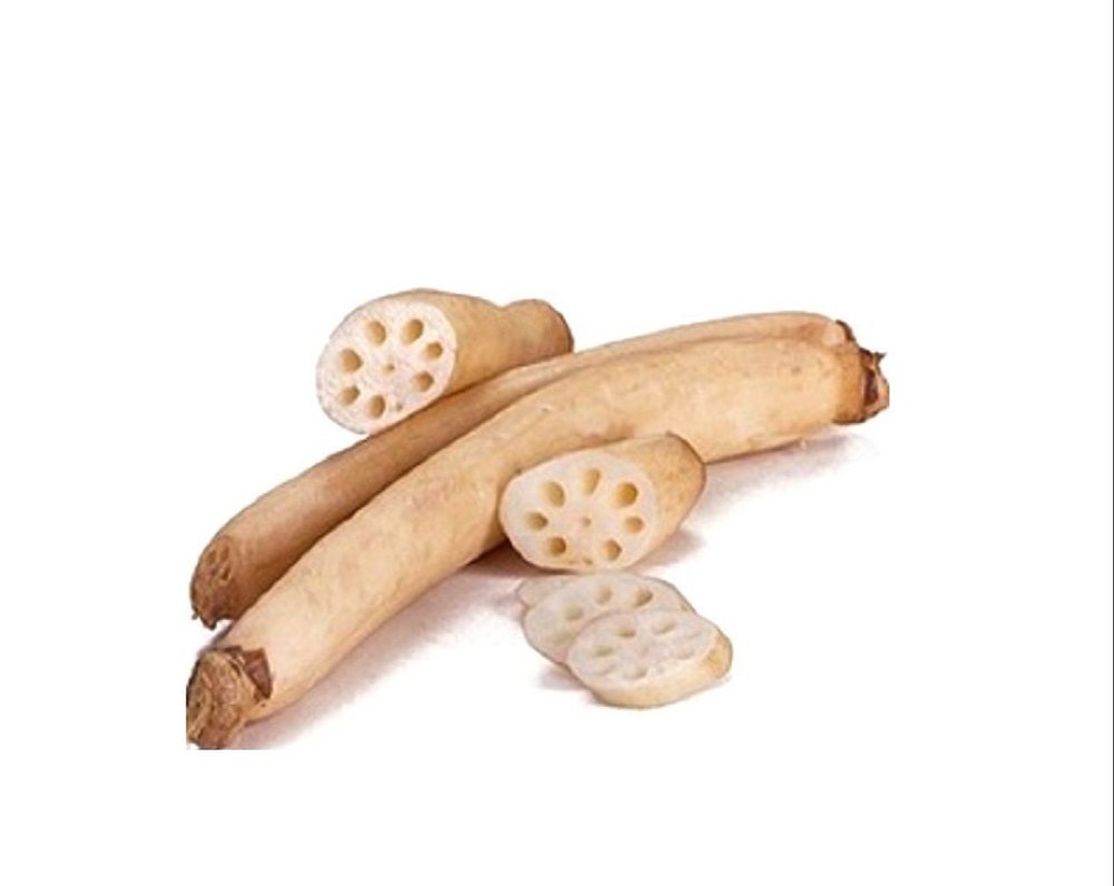 A Grade Lotus Stem