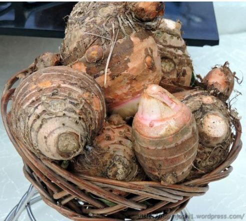 Taro Root