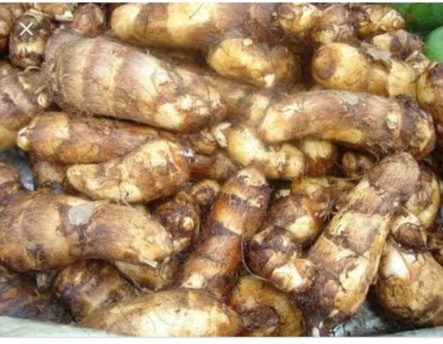 A Grade U.P. Taro Root, Packaging Type: Net Bag, Packaging Size: 50 Kg