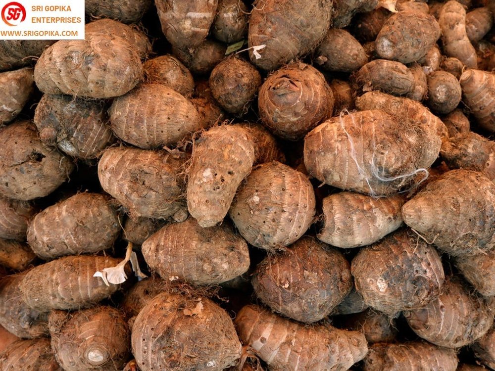 A Grade Tamilnadu Taro Colocasia Roots - Small