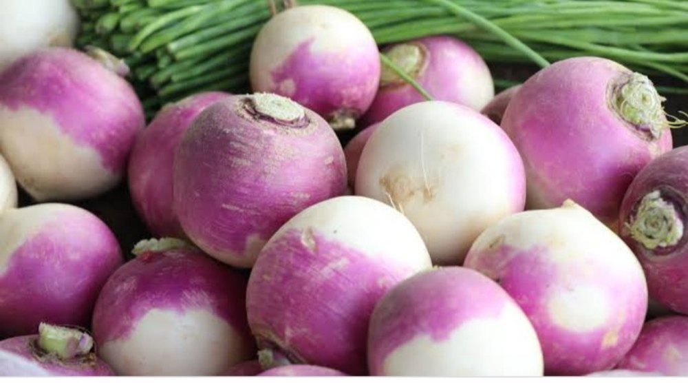 Organic Natual Turnip, Packaging Type: Carton, Packaging Size: 20 Kg