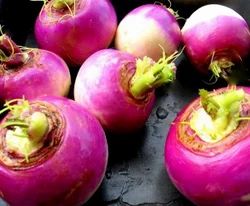 Fresh Turnip, Packaging Type: Sack Bag, Packaging Size: 50 Kg