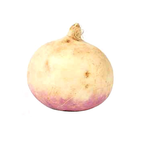 Fresh Turnip, Pack Size: 25 To 50kg