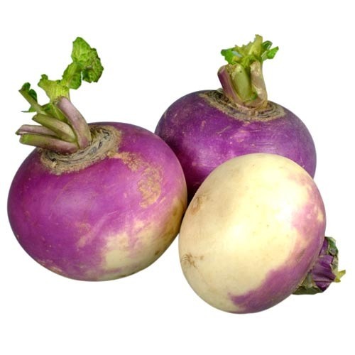 Fresh Turnip, Pack Size: 10kg, Packaging Type: Corrogate Box