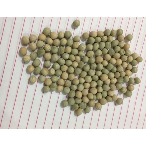 A Grade Freezes Dried Green Peas, Net Bag, Packaging Size: 5 Kg
