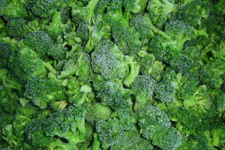 Frozen Broccoli