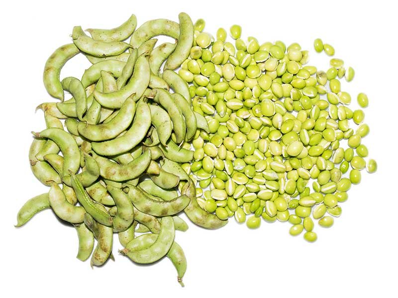 Frozen Green Lilva Papdi Bean