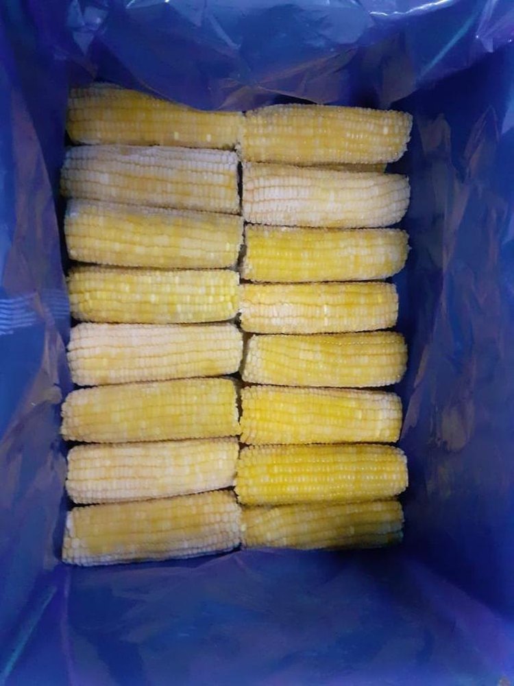 A Grade Frozen Corn Cob, Gunny Bag, Packaging Size: 10 Kg