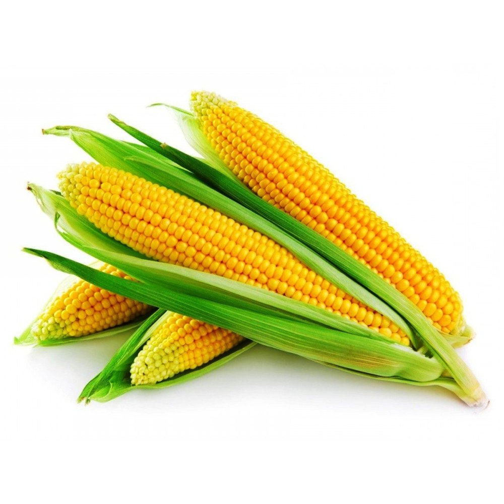 A Grade Yellow Frozen Sweet Corn Cob, Loose