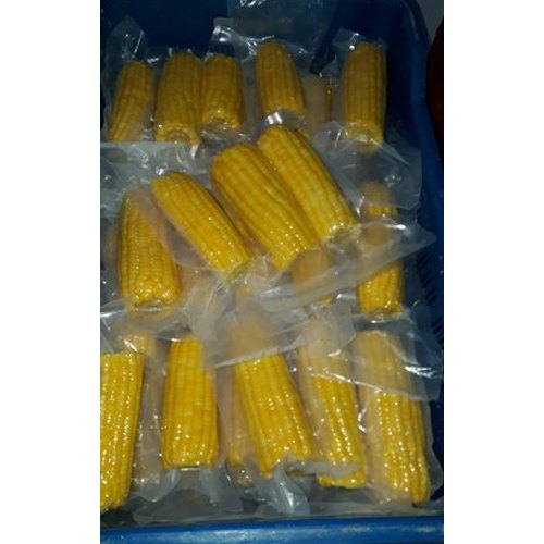 A Grade Fresh Corn On Cob, Vacuum Pouch, 450gm