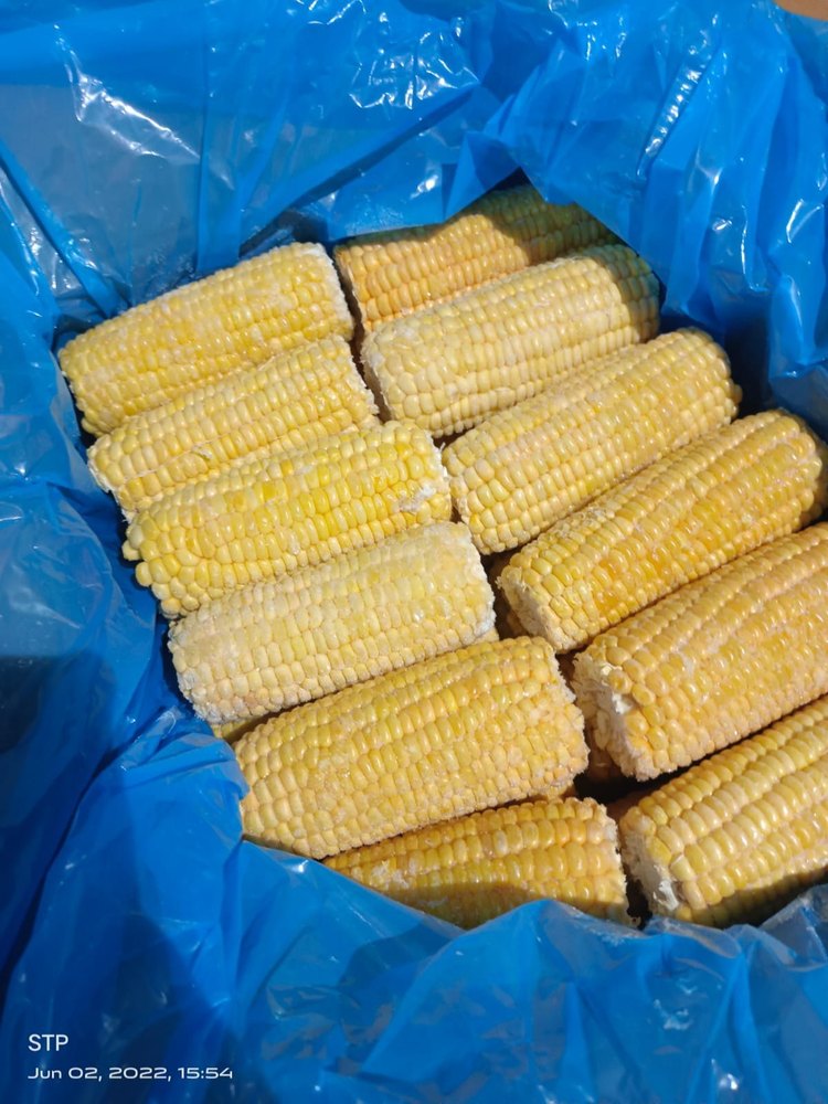 SSSP White Frozen Sweet Corn Cob in Box ( B- Grade), Packaging Size: 10 Kg