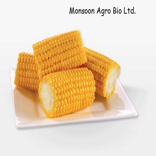 Yellow A Grade Frozen Sweet Corn On Cob, Carton