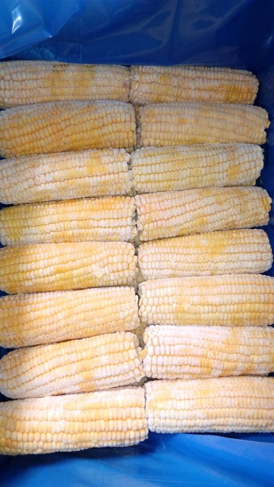 A Grade Yellow, White Frozen Corn Cob, Packet, Packaging Size: 1 KG