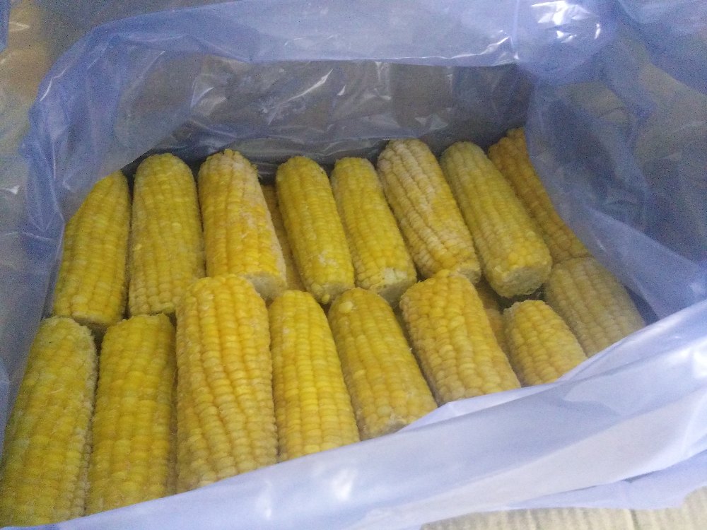 fryst A Grade Frozen Corn Cob, Packaging Size: 10 Kg, Blast
