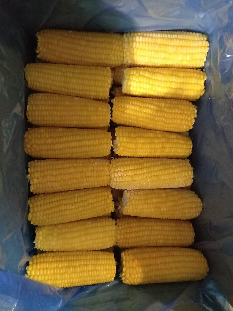A Grade Frozen Sweet Corn Cobs, Loose, Iqf