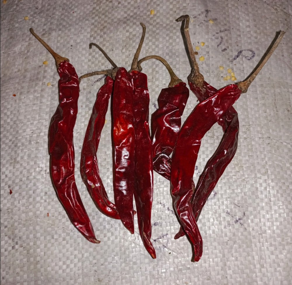 A Grade Frozen Red Chilli, Loose