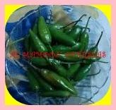 Frozen Chilli