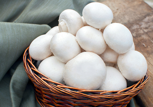 Fresh And White Frozen Mushroom