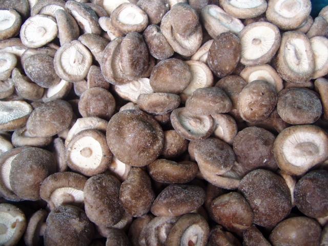 Frozen Black Mushroom